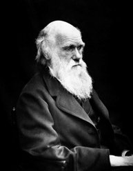 Darwin