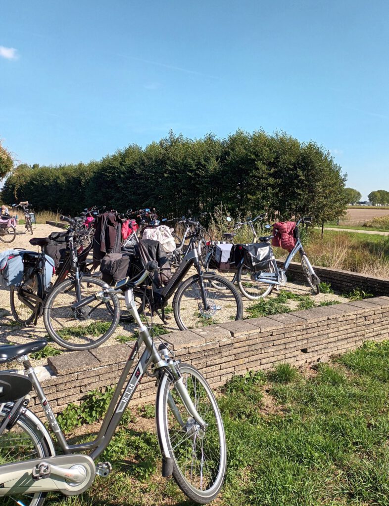 zadelpijn